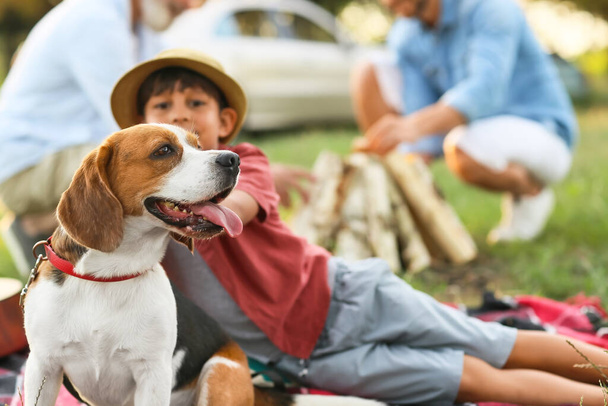 Niño pequeño con lindo perro y su familia en el picnic al aire libre - Foto, Imagen