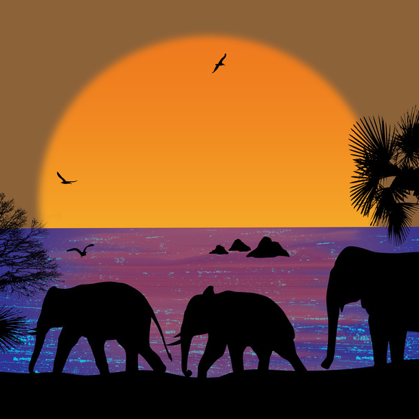 günbatımı üzerinde filler  - Vektör, Görsel