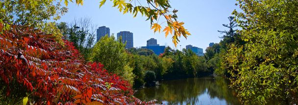 Panoramatický pohled na městskou krajinu s podzimní barvou listů - Fotografie, Obrázek