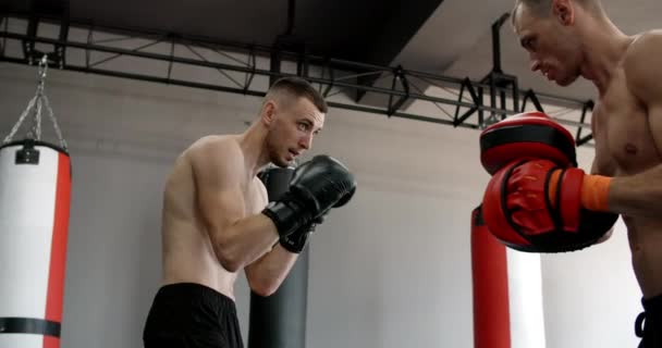 Χαμηλή γωνία shot: μαχητής σε γάντια πυγμάχος είναι εξάσκηση απεργίες του με εκπαιδευτή σε αργή κίνηση στο γυμναστήριο, kickboxers προπόνηση, 4k 120fps Prores HQ - Πλάνα, βίντεο