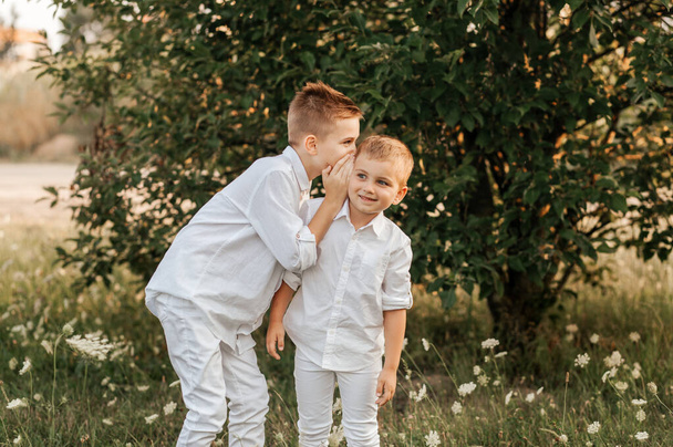 Δύο μικρά αγόρια αδέλφια παίζουν και περπατούν στη φύση το καλοκαίρι. Ευτυχισμένη παιδική ηλικία. Θετικά συναισθήματα - Φωτογραφία, εικόνα