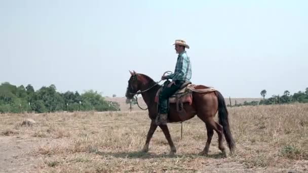 Széles lövés a kamerával egy cowboy lovaglás után - Felvétel, videó