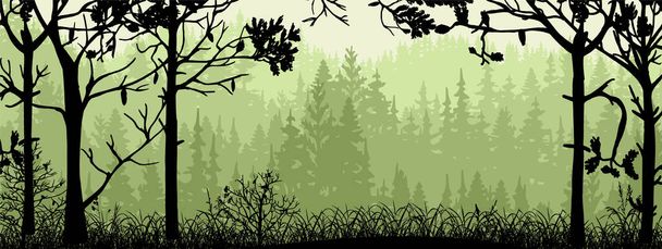 Horizontale Fahne des Waldhintergrunds, Silhouetten von Bäumen, Büschen und Gras. Magisch neblige Landschaft, Nebel. Schwarz-grüne Illustration. Lesezeichen. - Vektor, Bild