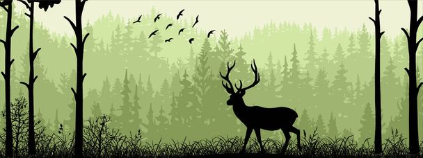 Horizontal banner. Silhouette of deer standing on meadow in forrest. Silhouette of animal, trees, grass. Magical misty landscape, fog. Green, black illustration. Bookmark. - Vector, Image
