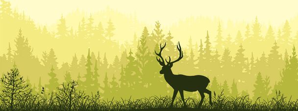 Horizontal banner. Silhouette of deer standing on meadow in forrest. Silhouette of animal, trees, grass. Magical misty landscape, fog. Green, black illustration.  - Vector, Image