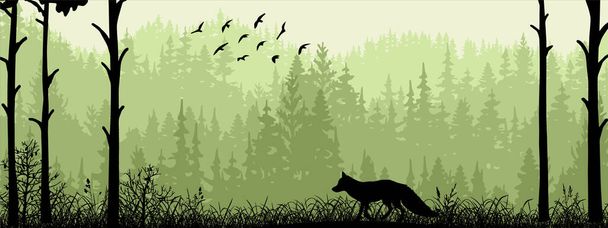 Bannière horizontale. Silhouette de renard debout sur la prairie dans la forêt. Silhouette d'animal, d'arbres, d'herbe. Paysage magique brumeux, brouillard. Illustration noire et verte. Signet. - Vecteur, image