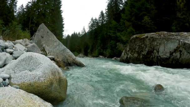 Alpine Landscape with Stream - 5K - Footage, Video