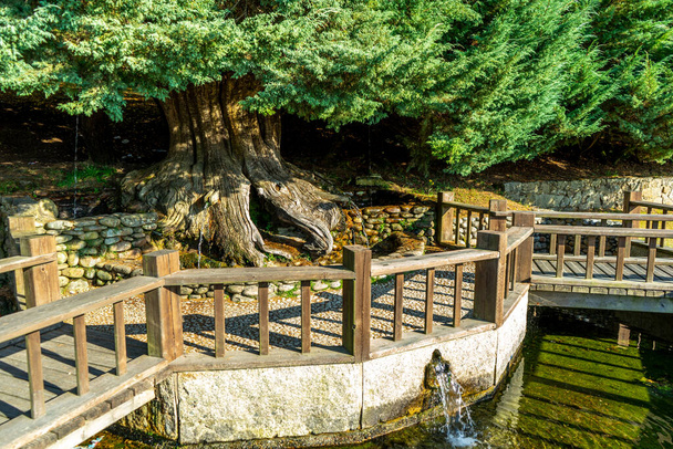 фонтан, який командує з дерева з декількома виходами, утворюючи колоду з дерев'яними перилами
 - Фото, зображення
