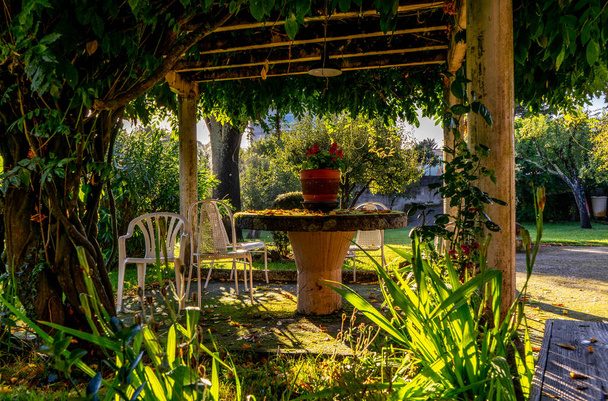 стол и стулья, покрытые вегетальной беседкой, которая сбрасывает листья до наступления осени - Фото, изображение
