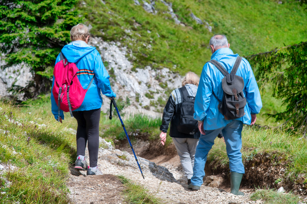 Personas mayores a lo largo de un sendero de montaña en temporada de verano, vista trasera - Foto, imagen