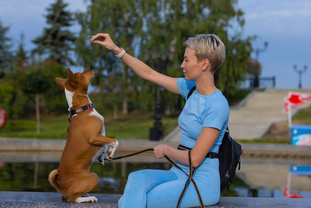 Trained intelligent dog taking food from human. - Foto, Bild