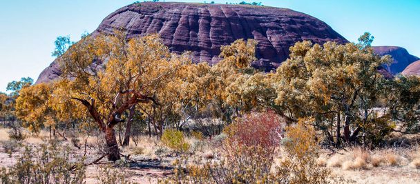 Vista panorâmica do Parque Olgas, Território do Norte, Austrália
. - Foto, Imagem