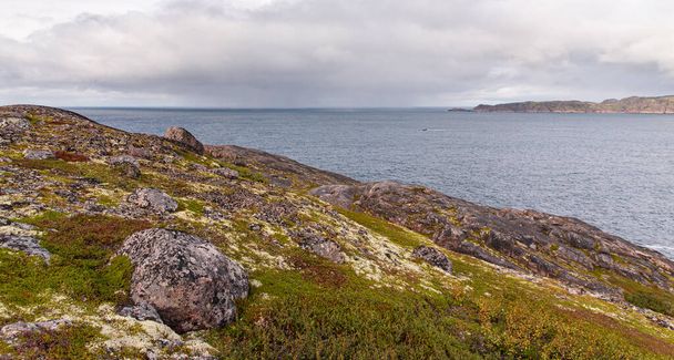 Un hermoso paisaje de la costa del Mar del Norte con piedras cubiertas de musgo colorido. Vista desde la montaña.Teriberka, Mar de Barents, Región de Murmansk, Península de Kola - Foto, imagen