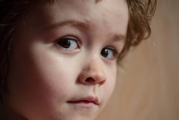 Portrait of amazed surprised little boy. Concept of kids face close-up. Head shoot children portrait. - Фото, изображение