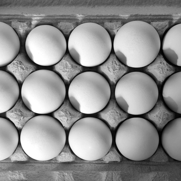 Tuoreet orgaaniset valkoiset munat pahvilaatikon pakkauksessa, eristetty valkoisella pohjalla - Valokuva, kuva