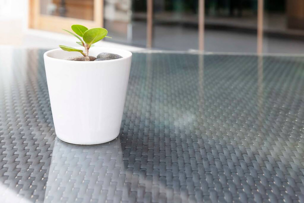 Білі пластикові рослинні горщики прикрашають обідній стіл на відкритому повітрі
 - Фото, зображення