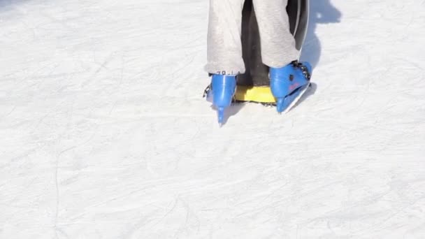 Closeup portrait of people legs in ice skates - Footage, Video