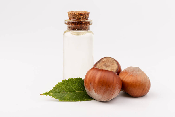 Concept of organic vegetable oils for cooking and cosmetology. Hazelnut nuts to illustrate ingredients. Natural oil in glass bottle. - Photo, Image