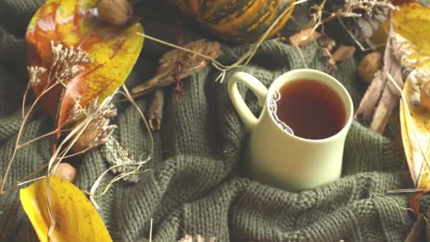 осенний фон с листьями, сушеная трава, тыква, грецкие орехи и кружка чая на трикотаже одеяло, осеннее настроение, привет осенняя концепция - Кадры, видео