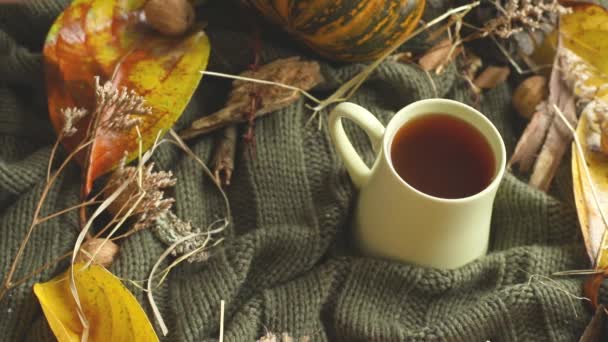 autumn background with leaves, dried grass, pumpkin, walnuts and tea mug on knitted blanket, fall mood, hello autumn concept - Footage, Video