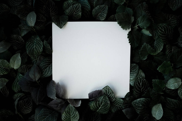 緑の葉に囲まれたテキストのためのスペースを持つ白い空のフレーム - 写真・画像