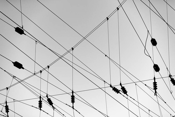 A tranquil grayscale shot of electrical network wires on a clear sky - Фото, зображення