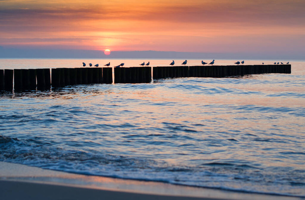 Ακτή της Βαλτικής Θάλασσας το ηλιοβασίλεμα. Ένα κοντινό. - Φωτογραφία, εικόνα