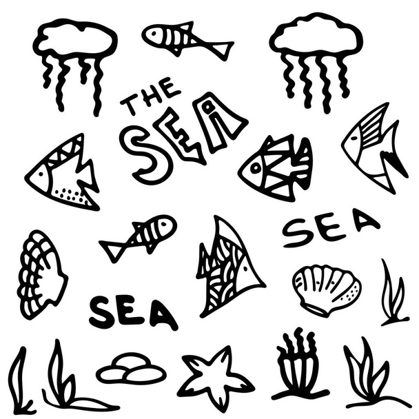 Set di doodle pesci dei cartoni animati, alghe, conchiglie e pietre. Oggetti isolati su sfondo bianco. Abitanti del mondo subacqueo per gioco, app, banner, piscina, stampa, bambini e adesivi. - Vettoriali, immagini