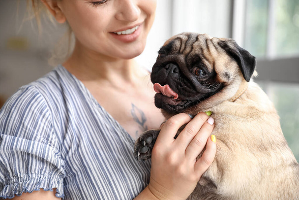 Young woman holding cute pug dog in kitchen, closeup - Photo, Image