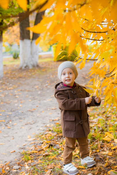 Little cute boy in an autumn coat and cap plays in an autumn park with yellow leaves. Autumn mood - Photo, image