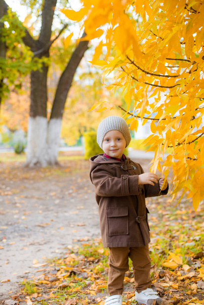 Niño lindo con un abrigo de otoño y gorra juega en un parque de otoño con hojas amarillas. Humor de otoño - Foto, imagen
