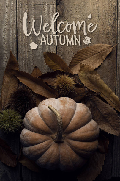 ようこそ秋のカード。古い木の床にカボチャといくつかの葉 - 写真・画像