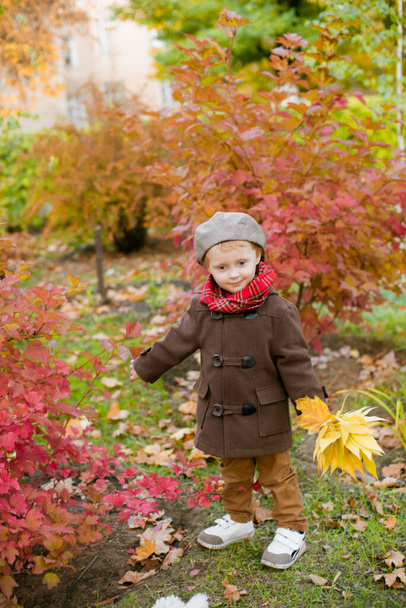 Little cute boy in an autumn coat and cap plays in an autumn park with yellow leaves. Autumn mood - Fotografie, Obrázek