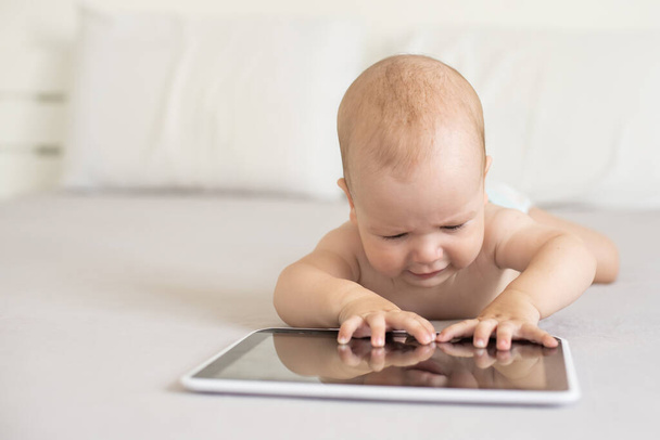 Kuuden kuukauden vauva, jolla on tablet-tietokone, katselee näyttöä, kotona - Valokuva, kuva