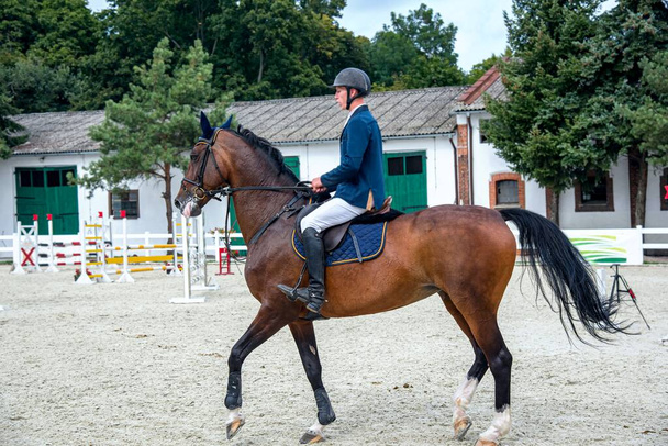 непокірний кінь, жокеїст у сідлі, спорт та дозвілля
 - Фото, зображення