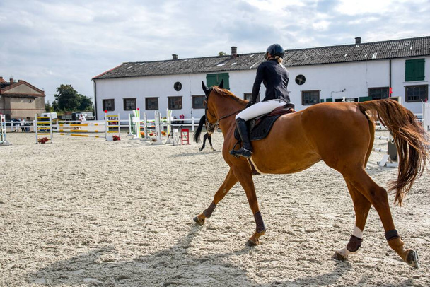 Όμορφο άλογο στη φάρμα. αναβάτης στη σέλα, ιππέας - Φωτογραφία, εικόνα