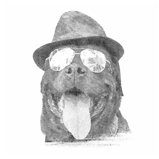 Egy divatos rottweiler ceruza portréja. Kisállat sapkával és napszemüveggel. Vektorillusztráció - Vektor, kép