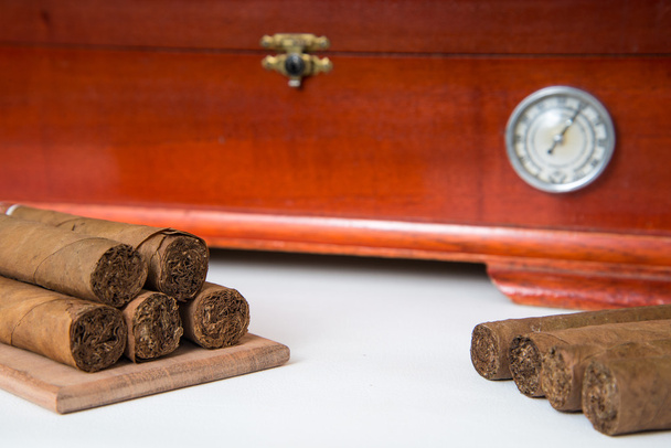 Cuban cigar and humidifier - Photo, Image