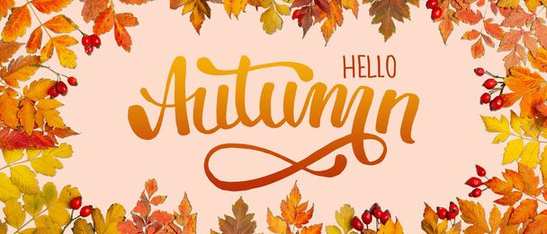 Autumn background. A frame made of autumn leaves. Autumn banner. Horizontal. Top view. - Photo, Image