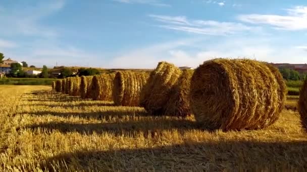 Balle di paglia di grano appena raccolte in una mattina d'estate in Spagna - Filmati, video