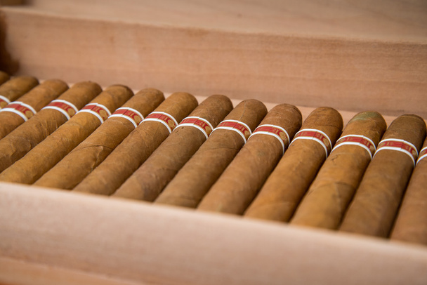 кубинських сигар і зволожувача - Фото, зображення