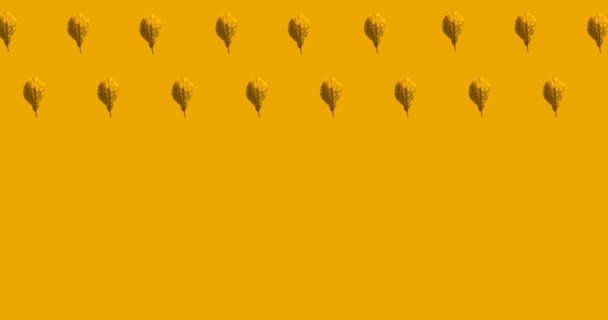 Animation of multiple orange autumn over orange background. seasons, autumn, fall, colour and nature concept digitally generated video. - Video