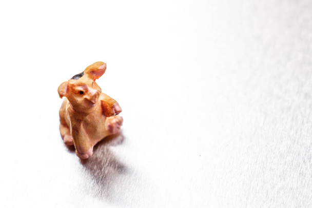 Macro shot of a little cheerful toy pig - Photo, Image