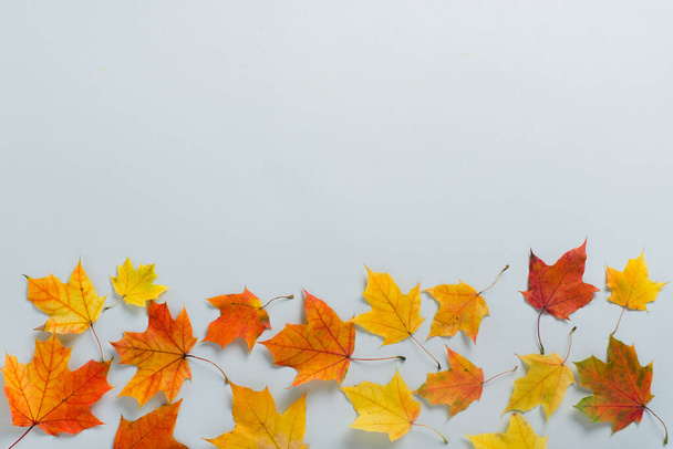 秋の葉とフラットレイアウト組成。秋、秋の概念。フラットレイアウト、トップビュー、コピースペース、サークル。ミニマルなコンセプト。高品質の写真 - 写真・画像