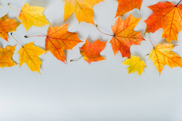 灰色の背景に孤立した紅葉とフラットレイアウト組成。秋、秋の概念。フラットレイアウト、トップビュー、コピースペース、装飾。ミニマルなコンセプト。高品質の写真 - 写真・画像