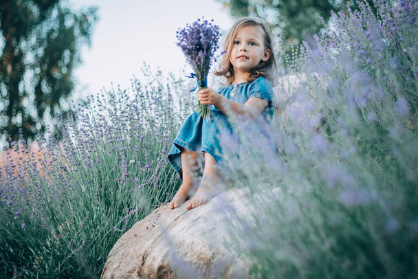 Niña 3-4 con pelo oscuro en vestido de mezclilla se sienta en piedra entre grandes arbustos de lavanda lila, con ramo de flores - Foto, Imagen