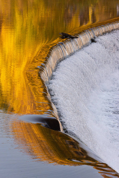 Old Mill dam at Humber River in Autumn, Toronto, Ontario, Canada - Photo, image