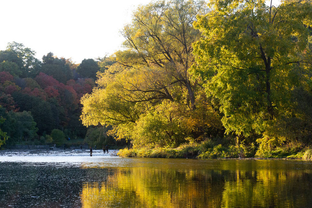 Krajina pohled na Humber River v podzimní sezóně, Toronto, Ontario, Kanada - Fotografie, Obrázek