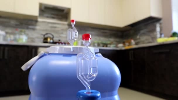 Házi készítésű bor aktív erjesztése műanyag edényekben a konyhában - Felvétel, videó