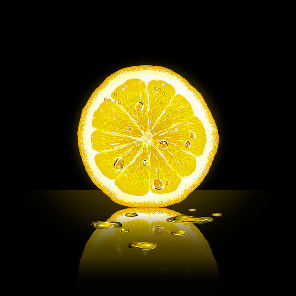Zitronenscheibe auf schwarzem Hintergrund - Vektor, Bild